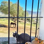 Rancho Blanco La Pena