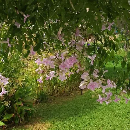 Rancho Blanco La Pena 펜션