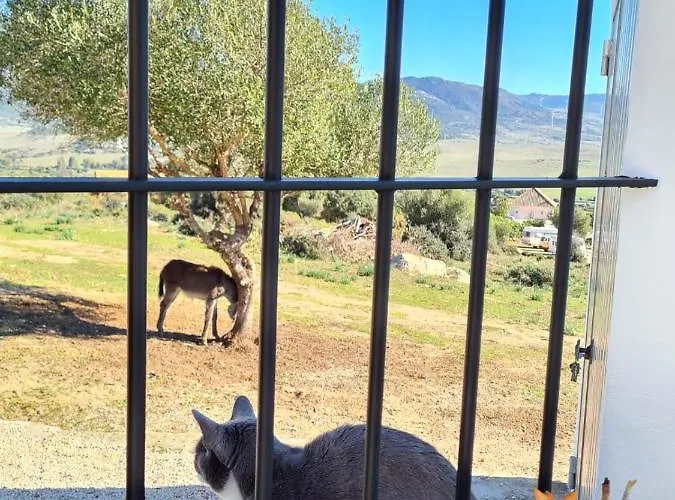 Rancho Blanco La Pena
