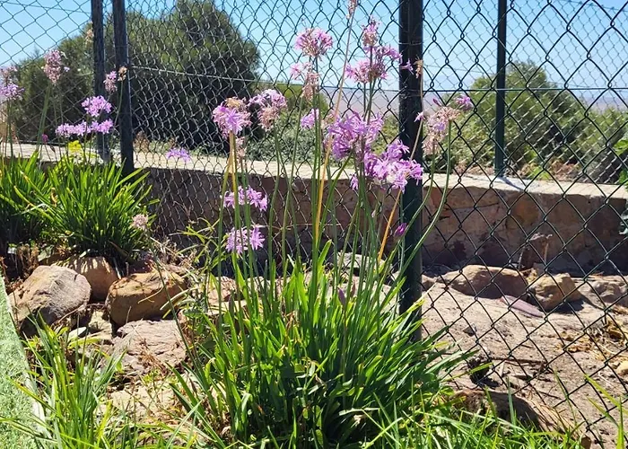 Rancho Blanco La Pena * تريفة