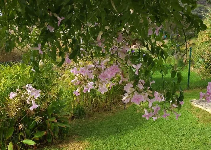 Rancho Blanco La Pena بيت للعطل