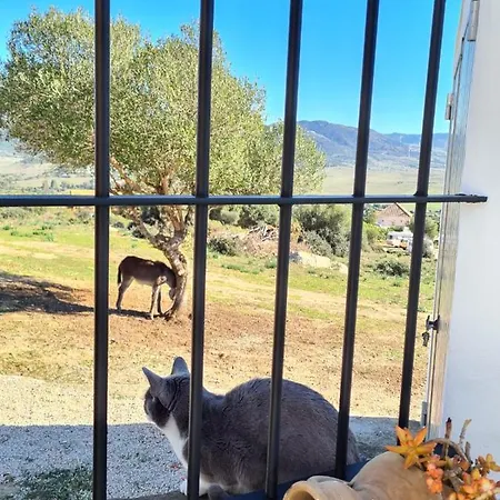 Rancho Blanco La Pena