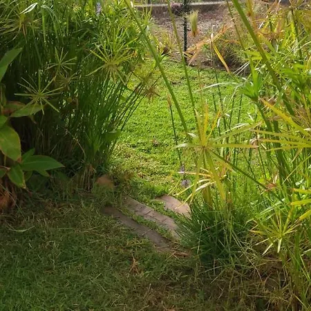 בית נופש Rancho Blanco La Pena *